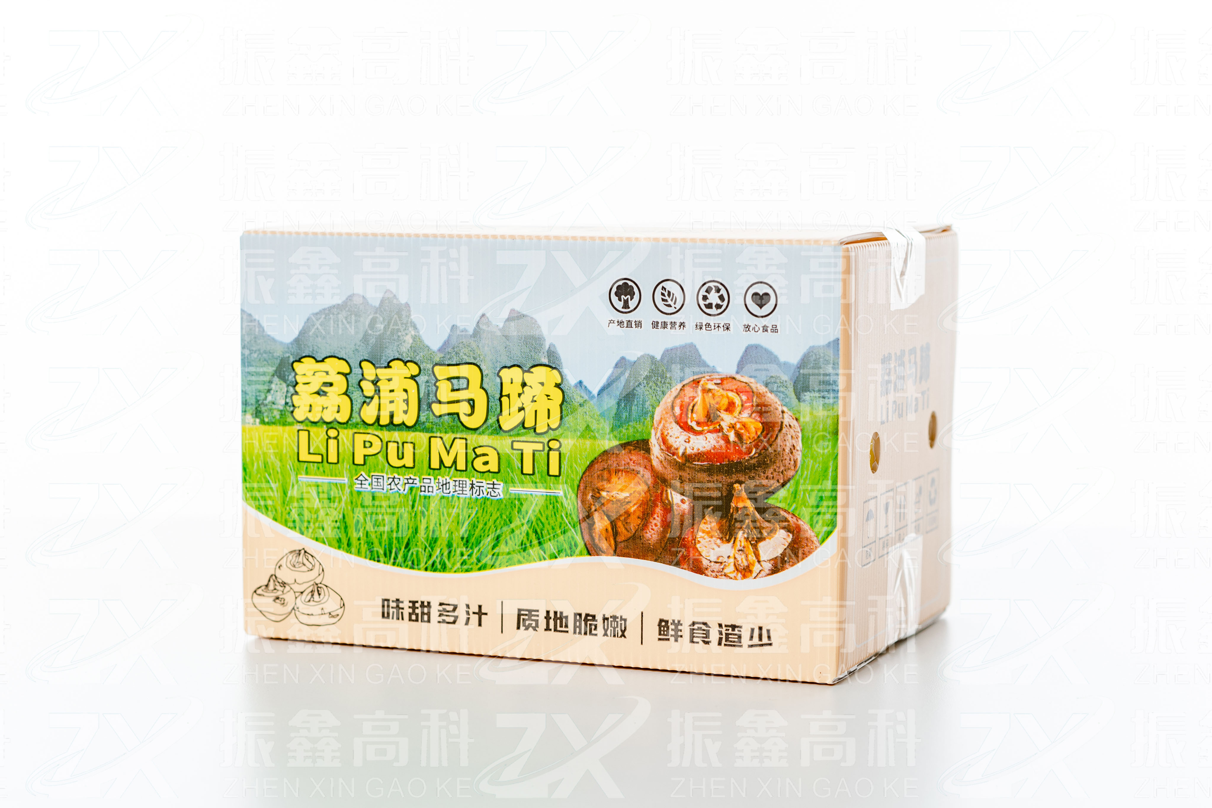 馬蹄箱.jpg